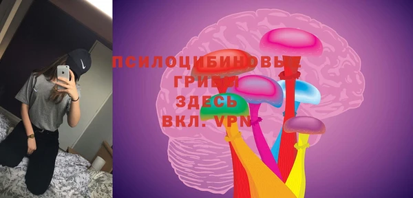 прущая мука Медвежьегорск