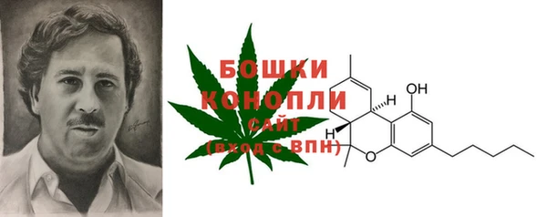 трава Мегион